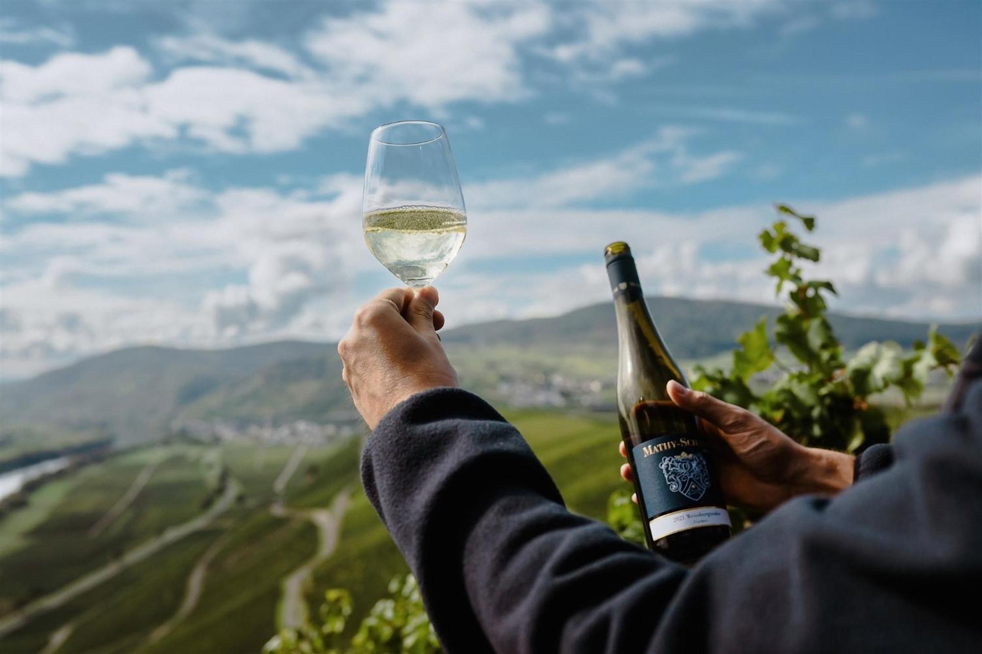 Gaestehaus Weingut Mathy-Schanz Osann-Monzel Exteriör bild