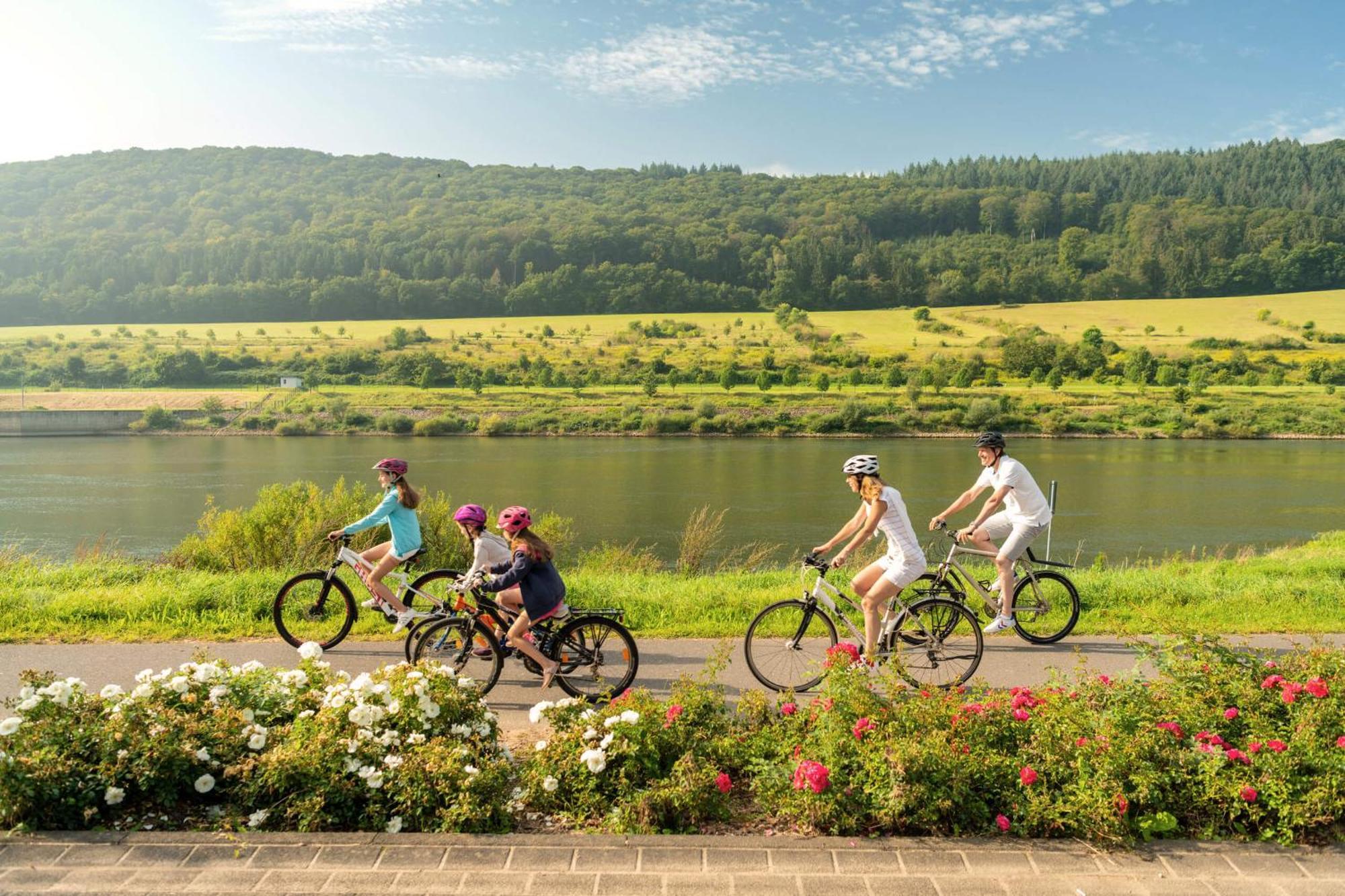 Gaestehaus Weingut Mathy-Schanz Osann-Monzel Exteriör bild