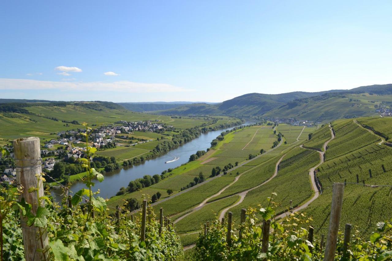 Gaestehaus Weingut Mathy-Schanz Osann-Monzel Exteriör bild