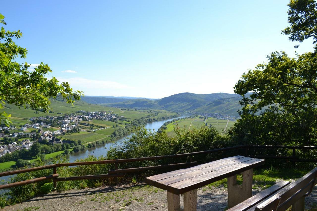 Gaestehaus Weingut Mathy-Schanz Osann-Monzel Exteriör bild